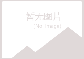 梅州梅江夏岚采矿有限公司